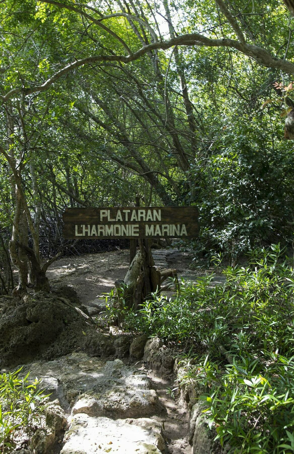 Menjangan Ecolodge - Chse Certified Banyuwedang Exterior foto